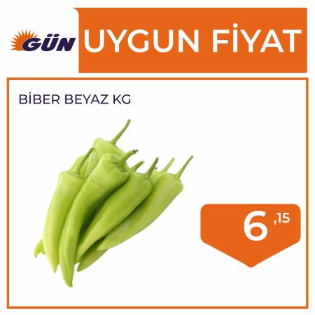 Gün Süpermarket kataloğu, Aydın (Aydın) | Uygun Fiyat | 26.05.2022 - 09.06.2022